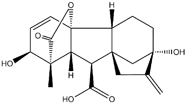 赤霉素GIBBERELLIC ACID，居然有這么神奇？